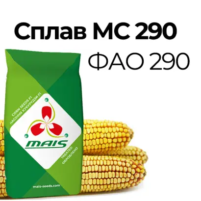 ЦСЦ 2909