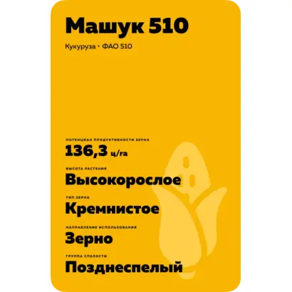 МАШУК 510