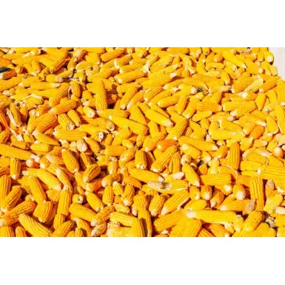 ЛАР 1492 Х ЛАР 1490