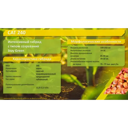 САТ 240 МВ
