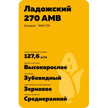 ЛАДОЖСКИЙ 270 АМВ