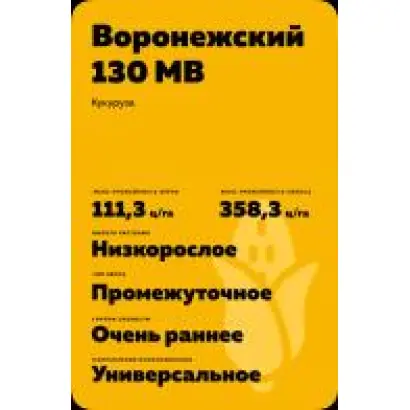 ВОРОНЕЖСКИЙ 266 МВ