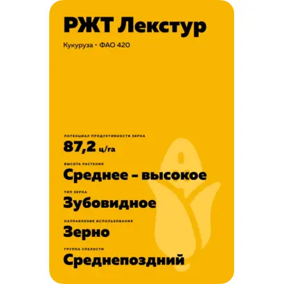 РЖТ ЛЕКСТУР