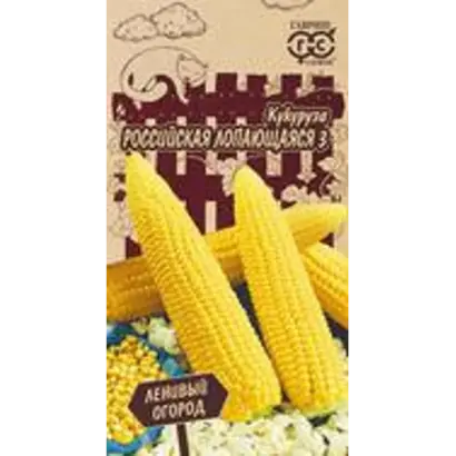 РОССИЙСКАЯ 1