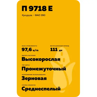 П 9718 Е
