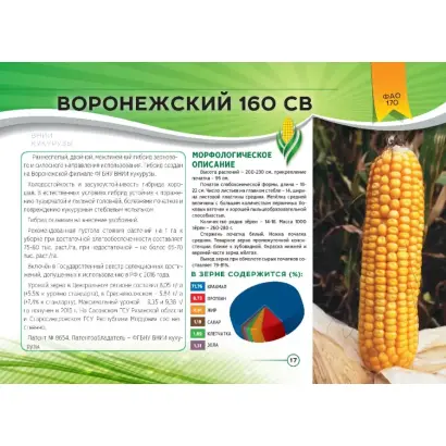 ВОРОНЕЖСКИЙ 160 СВ