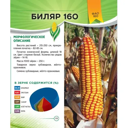 БИЛЯР 160