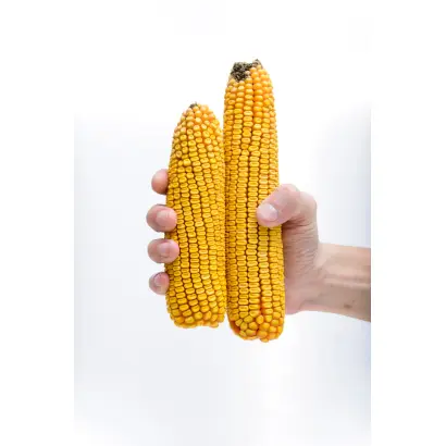 ЛАДОЖСКИЙ 410 МВ