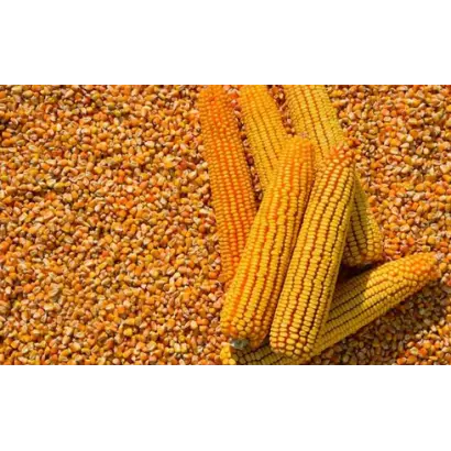 ЕГ 7027 Х ЕГ 7051