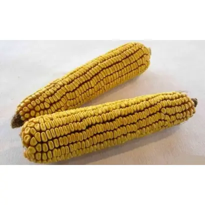 ПОВОЛЖСКИЙ 89 МВ