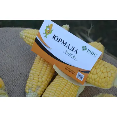 ХАРЬКОВСКАЯ 26 М