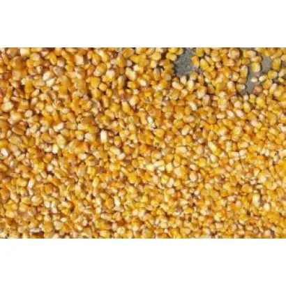 ЛАДОЖСКИЙ 201 МВ