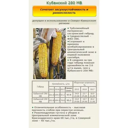 КУБАНСКИЙ 280 СВ