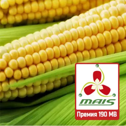 ПРЕМИЯ 190 МВ