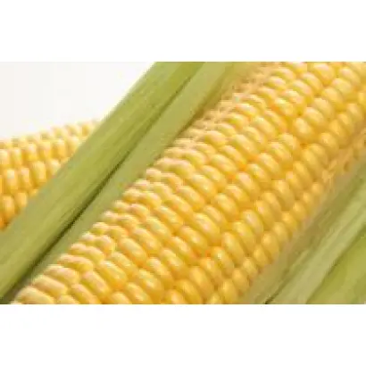 ЕС КРИСТЭЛЬ