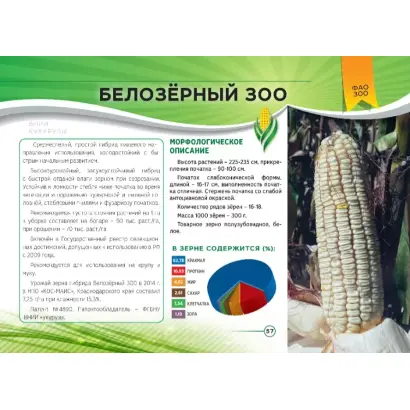 БЕЛОЗЕРНЫЙ 300