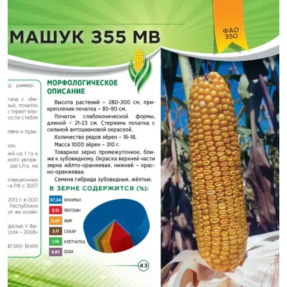 МАШУК 355 МВ
