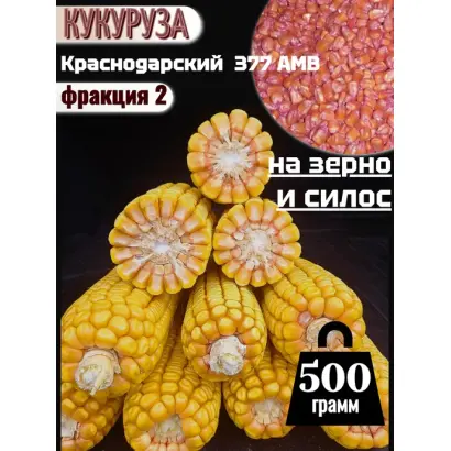 КРАСНОДАРСКИЙ 500 АМВ