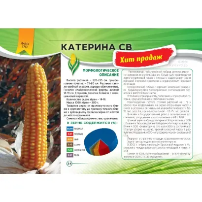 КАТЕРИНА СВ