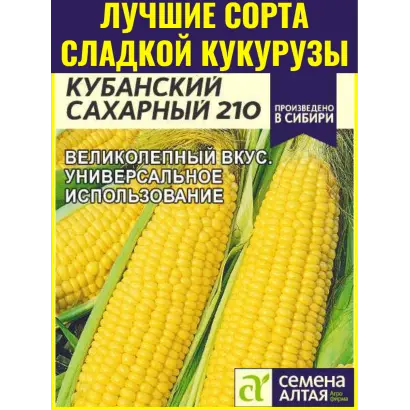 КУБАНСКИЙ 500 СВ