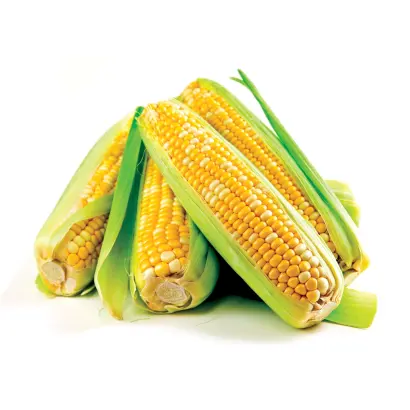 МАСЛОВСКИЙ 208 СВ