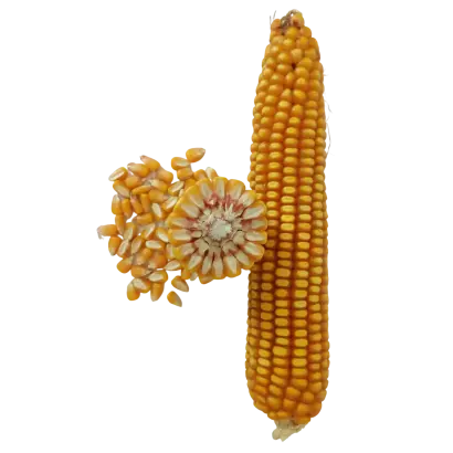 КАСКАД 195 СВ