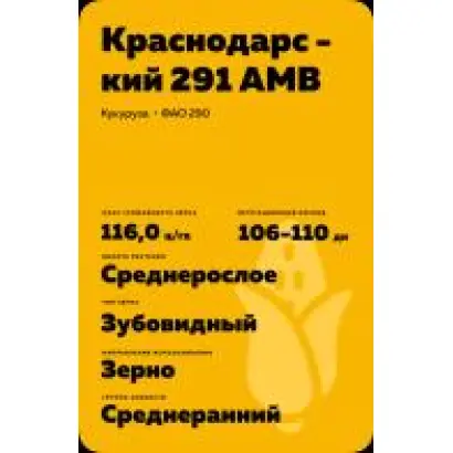ПОРУМБЕНЬ 348 АМВ