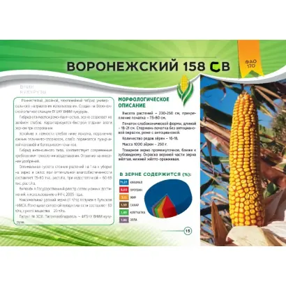 ВОРОНЕЖСКИЙ 158 СВ