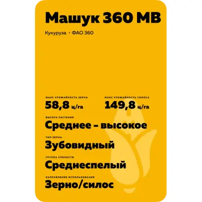 МАШУК 360 МВ
