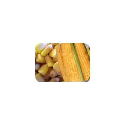 ПОРУМБЕНЬ 212 СВ