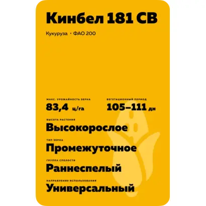 КИНБЕЛ 181 СВ