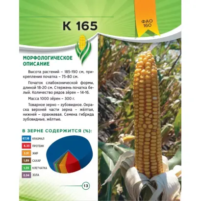 САМБЕЗ 165 МВ