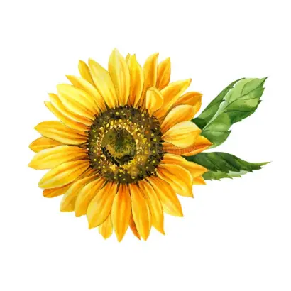 НОБИЛЛИС КЛП