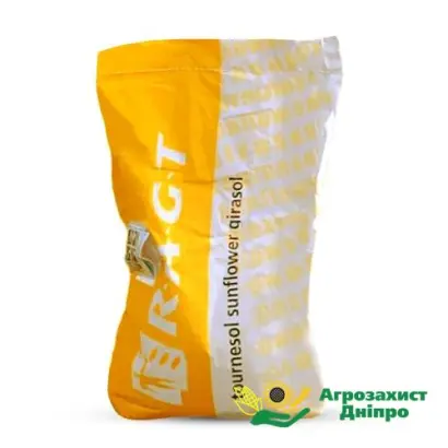 РЖТ АНЖЕЛЛО