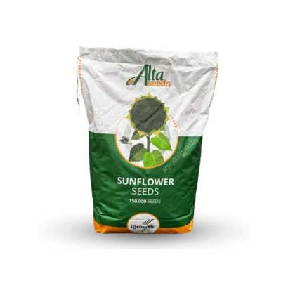 ХАЙСАН 238 ИТ