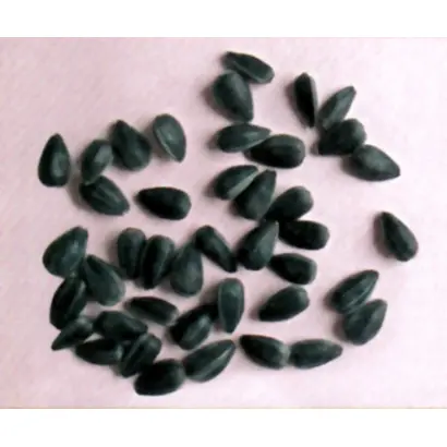 САРАТОВСКИЙ 85