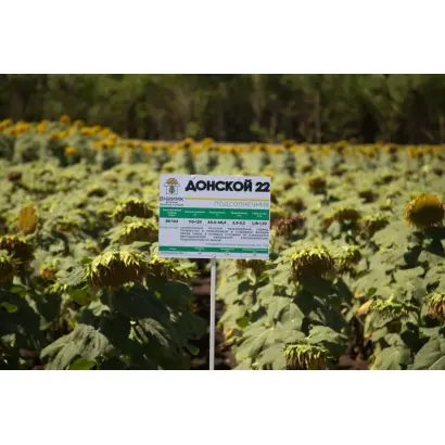 ДОНСКОЙ 22