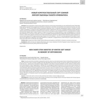 ПАМЯТИ КРИВОБОЧЕКА