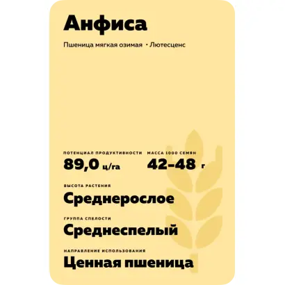 АНФИСА