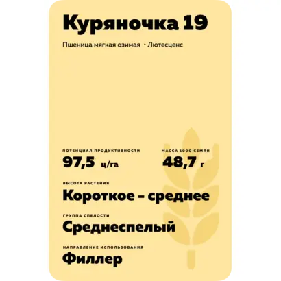КУРЯНОЧКА 19