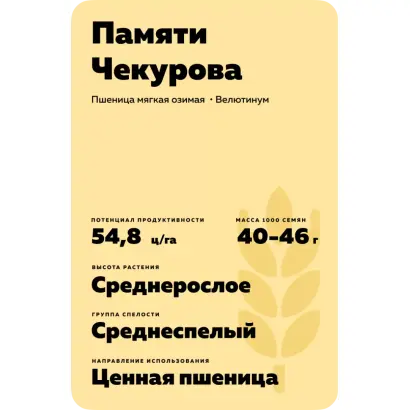 ПАМЯТИ ЧЕКУРОВА