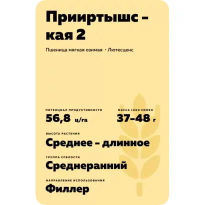 ПРИИРТЫШСКАЯ 2