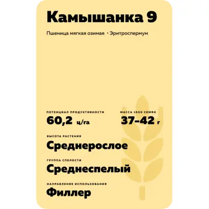 КАМЫШАНКА 9
