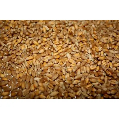 ОКТЯБРЬСКАЯ