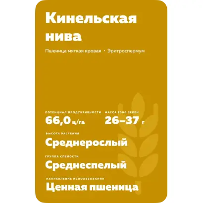 КИНЕЛЬСКАЯ 4
