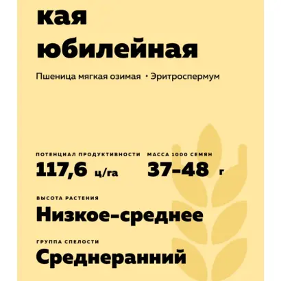 ТИМИРЯЗЕВСКАЯ ЮБИЛЕЙНАЯ