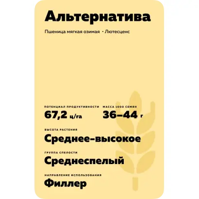 АЛЬТЕРНАТИВА