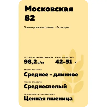 МОСКОВСКАЯ 82