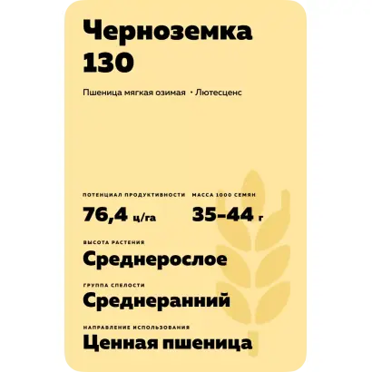 ЧЕРНОЗЕМКА 130