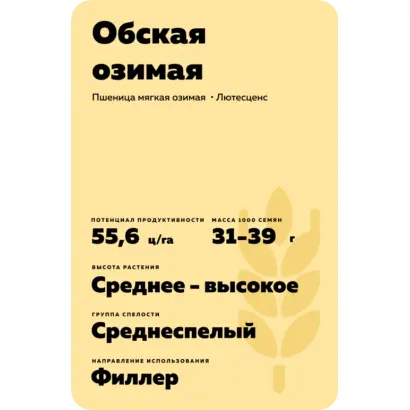 ОБСКАЯ ОЗИМАЯ